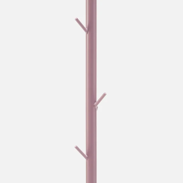 Cactus - Image 9