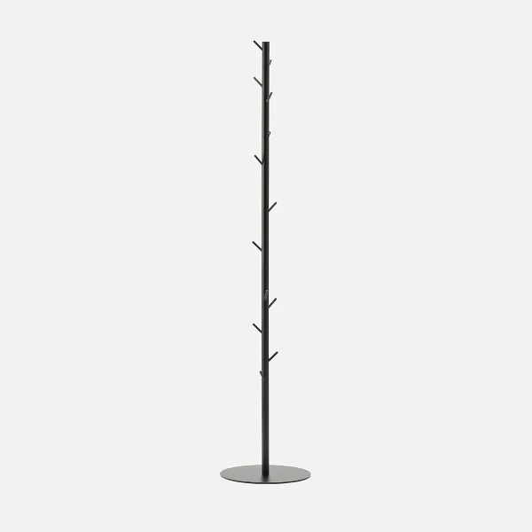 Cactus - Image 11