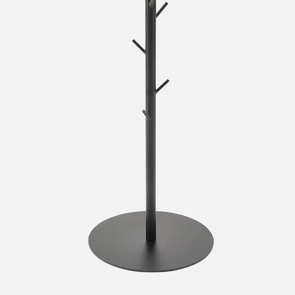 Cactus - Image 19