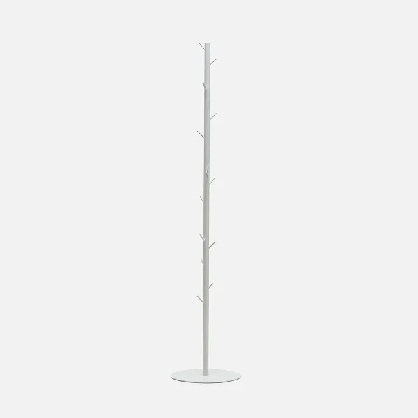 Cactus - Image 6