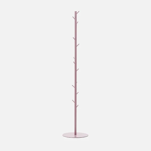 Cactus - Image 8